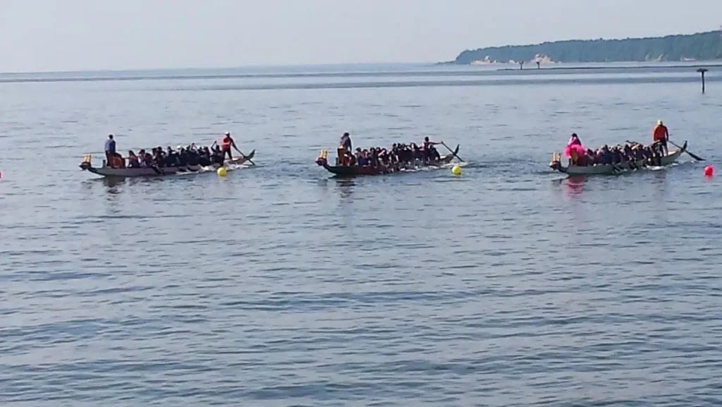 Three dragon boat teams paddling vigorously in a race on a wide expanse of water, with buoys marking the course and a distant shoreline.