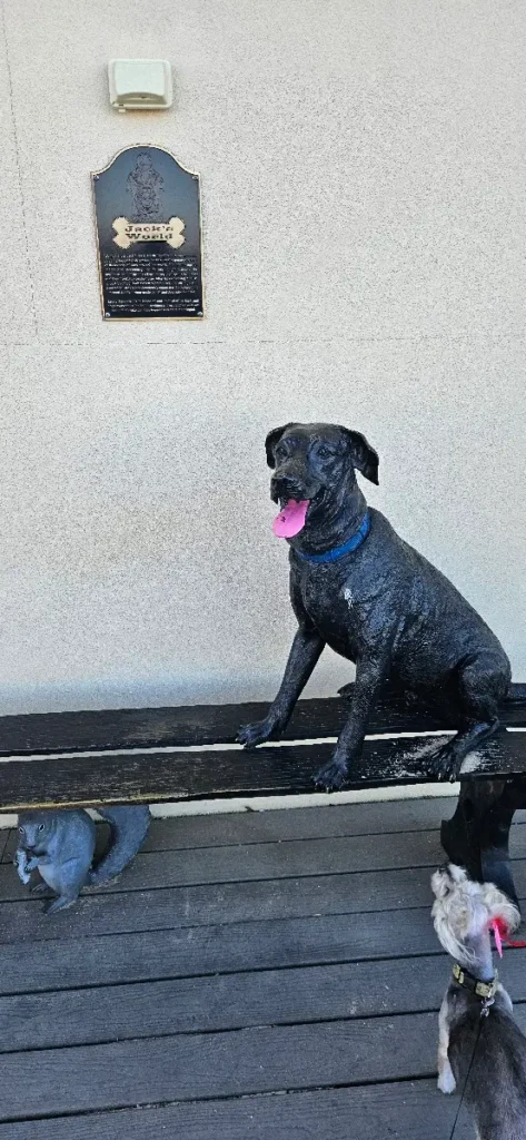 Statue of a black dog with a tongue out, sitting beside a plaque on a wall, with a live, small gray and white dog with a red leash in the foreground. They are on a wooden deck with the wall behind them.